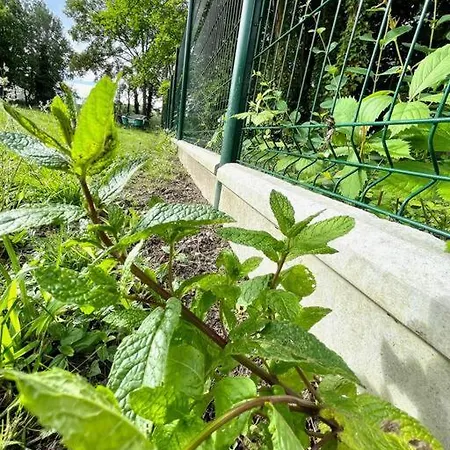 Le Paradis Est A 23 Min De Paris أوفيرس سور واز